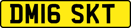 DM16SKT