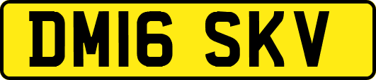 DM16SKV