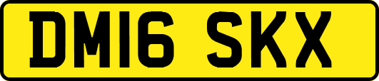 DM16SKX