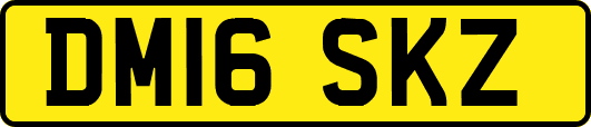 DM16SKZ