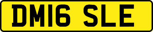 DM16SLE
