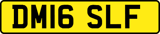 DM16SLF