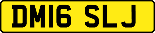 DM16SLJ