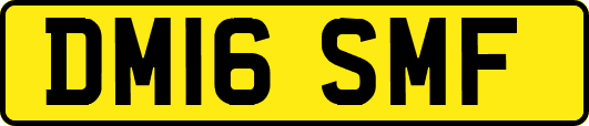 DM16SMF
