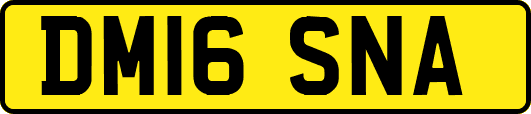 DM16SNA
