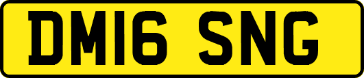 DM16SNG