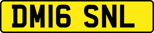 DM16SNL