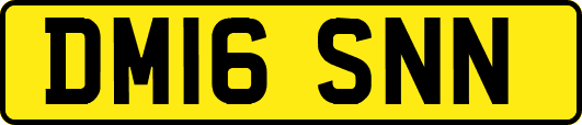 DM16SNN