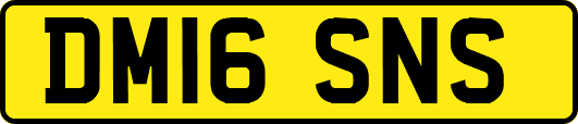 DM16SNS