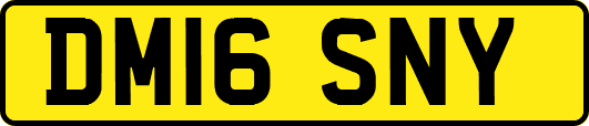DM16SNY