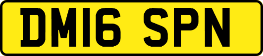 DM16SPN