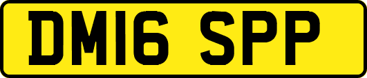 DM16SPP