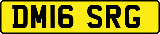 DM16SRG