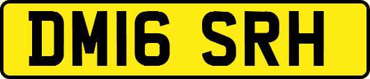 DM16SRH