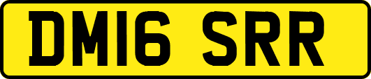 DM16SRR