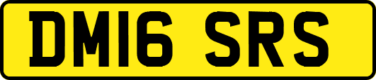 DM16SRS