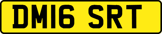 DM16SRT
