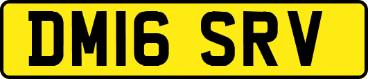 DM16SRV