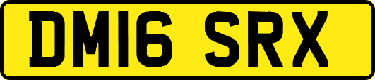 DM16SRX