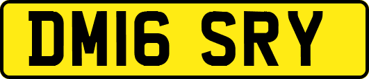 DM16SRY