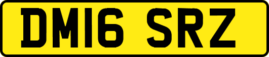 DM16SRZ