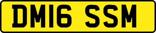 DM16SSM