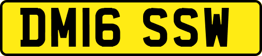 DM16SSW