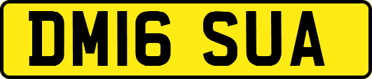 DM16SUA