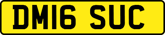 DM16SUC