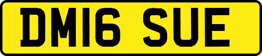 DM16SUE
