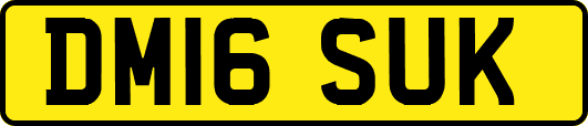 DM16SUK