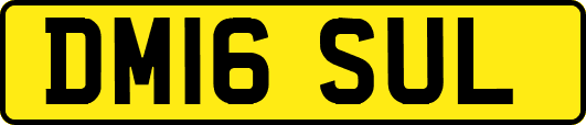 DM16SUL
