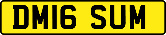 DM16SUM