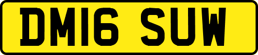 DM16SUW