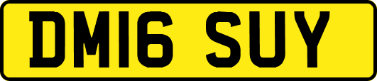 DM16SUY