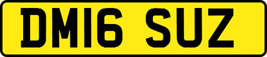 DM16SUZ