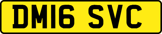 DM16SVC