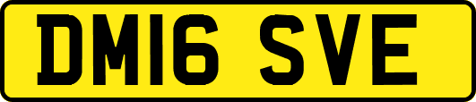 DM16SVE
