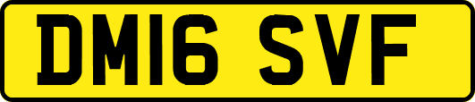 DM16SVF