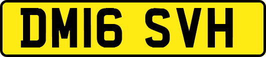 DM16SVH