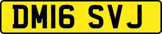 DM16SVJ