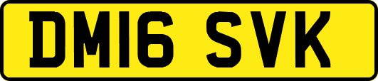 DM16SVK