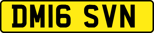 DM16SVN
