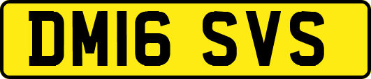 DM16SVS