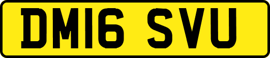 DM16SVU