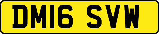 DM16SVW