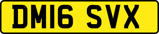 DM16SVX