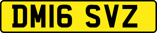 DM16SVZ
