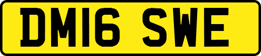 DM16SWE