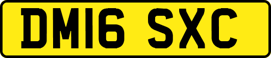 DM16SXC